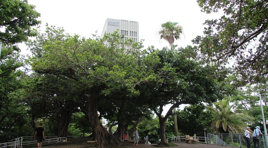 🌳 희망 언덕 공원(키보가오카 코엔) 이미지 4